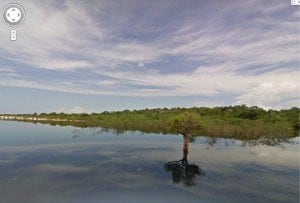 Le immagini dell'Amazzonia su Google Street View